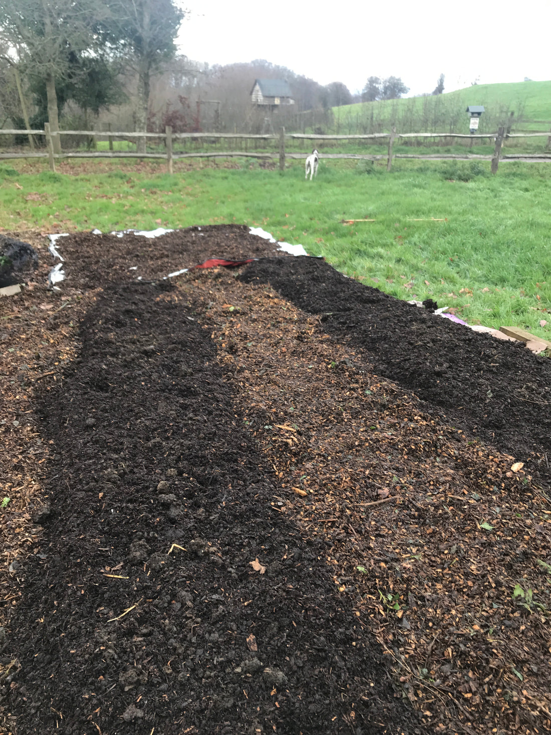 Freshly mulched flower beds