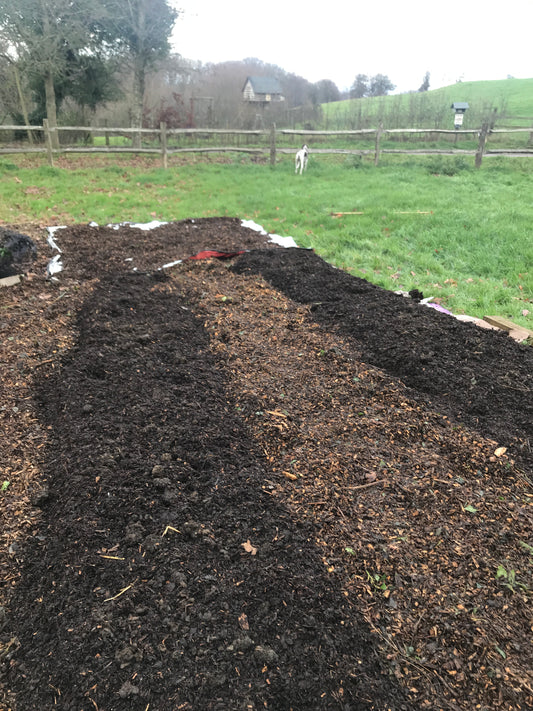 Freshly mulched flower beds