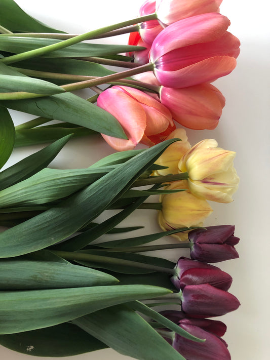 Why I don't want flowers this Valentine's (and not just because I grow my own!)