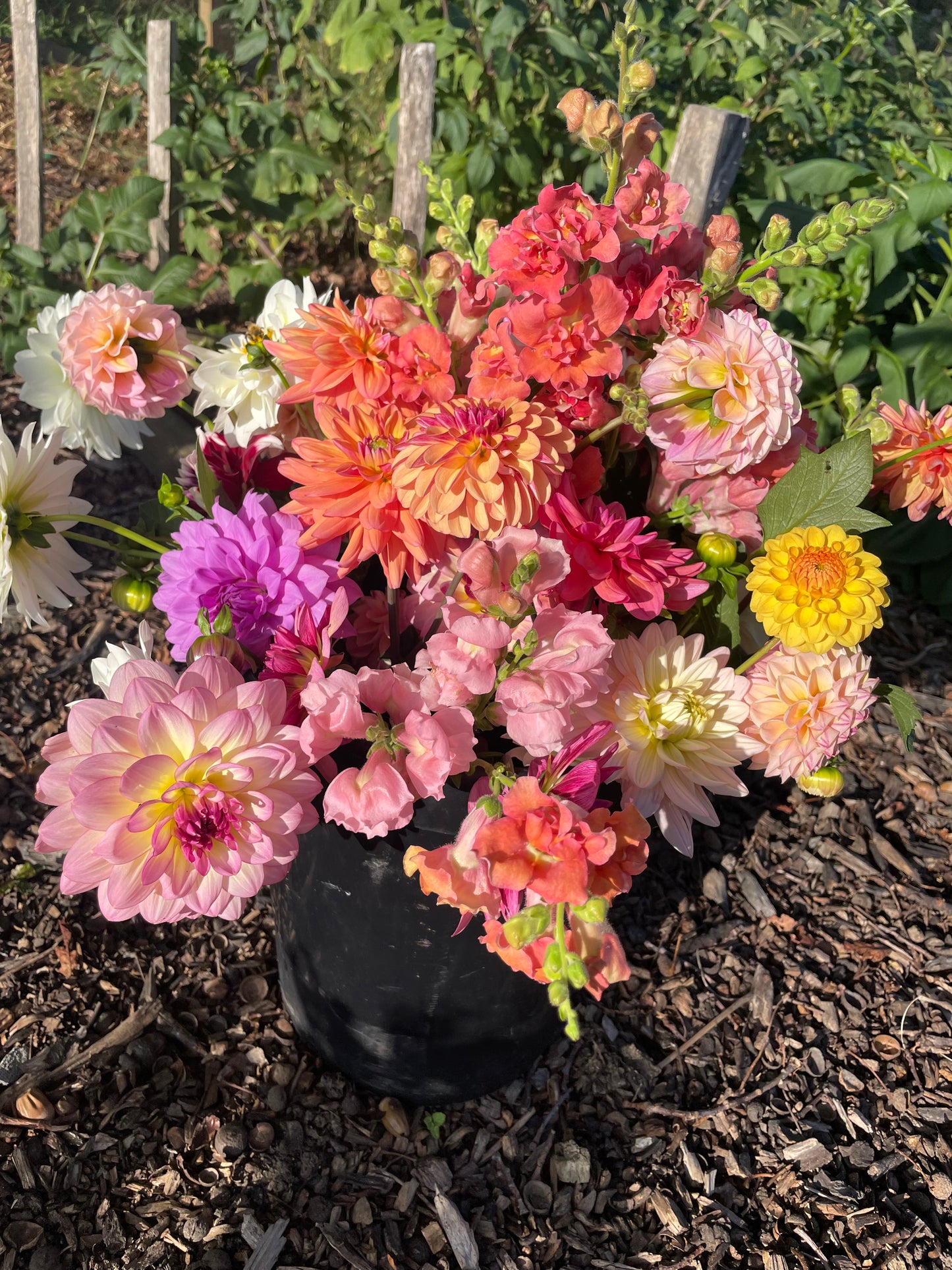 The Meadow Flower Co Gift Card