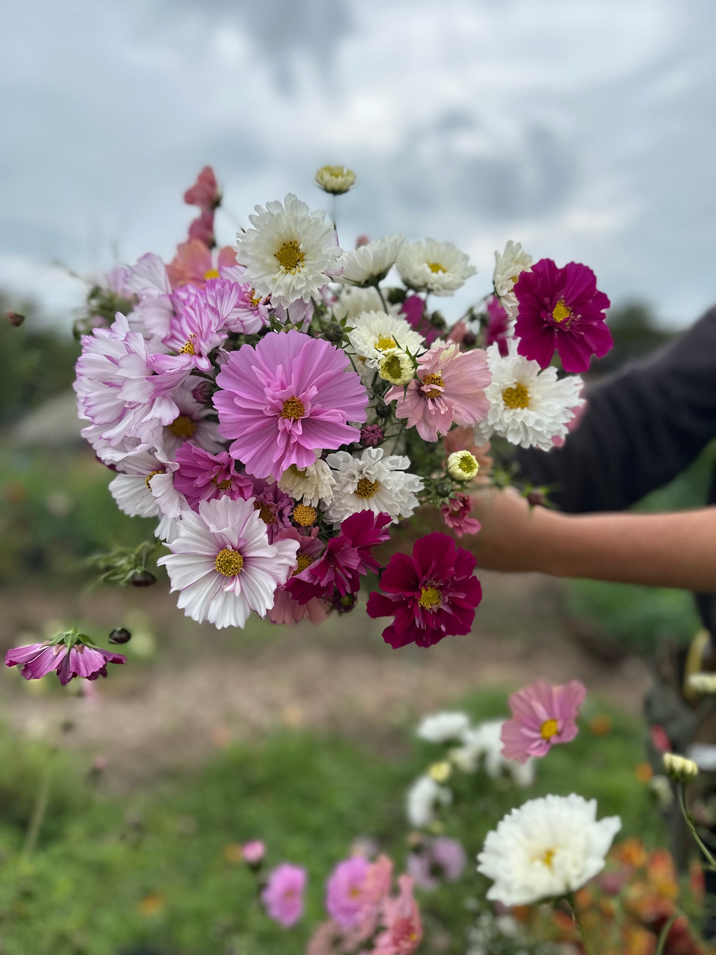 Pick Your Own Flowers Subscription 2026