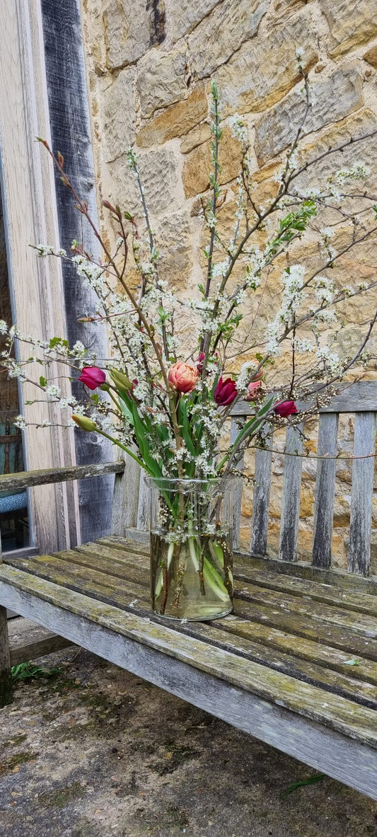 Spring Foraging Workshop