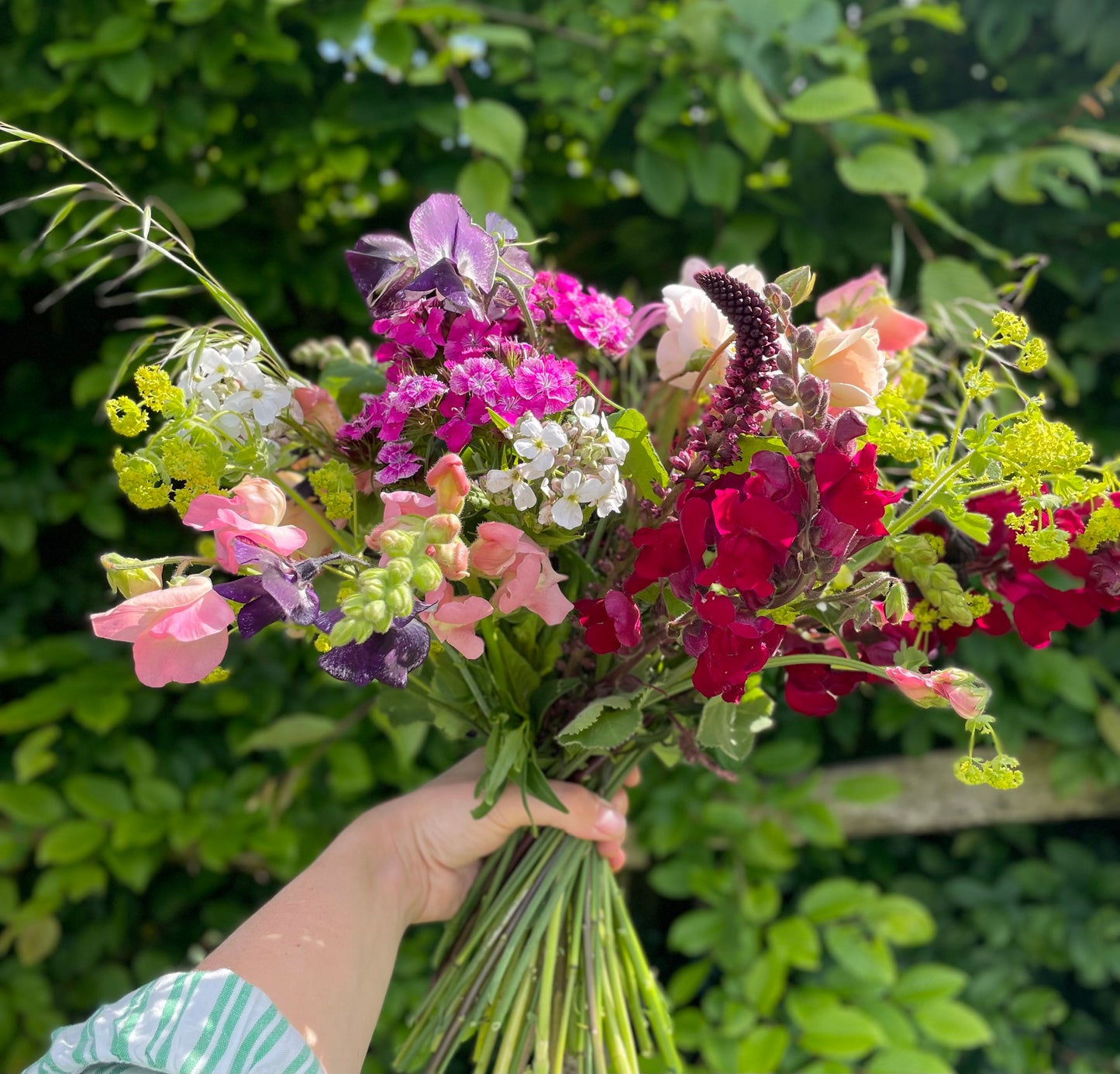 Pick Your Own Flowers Session