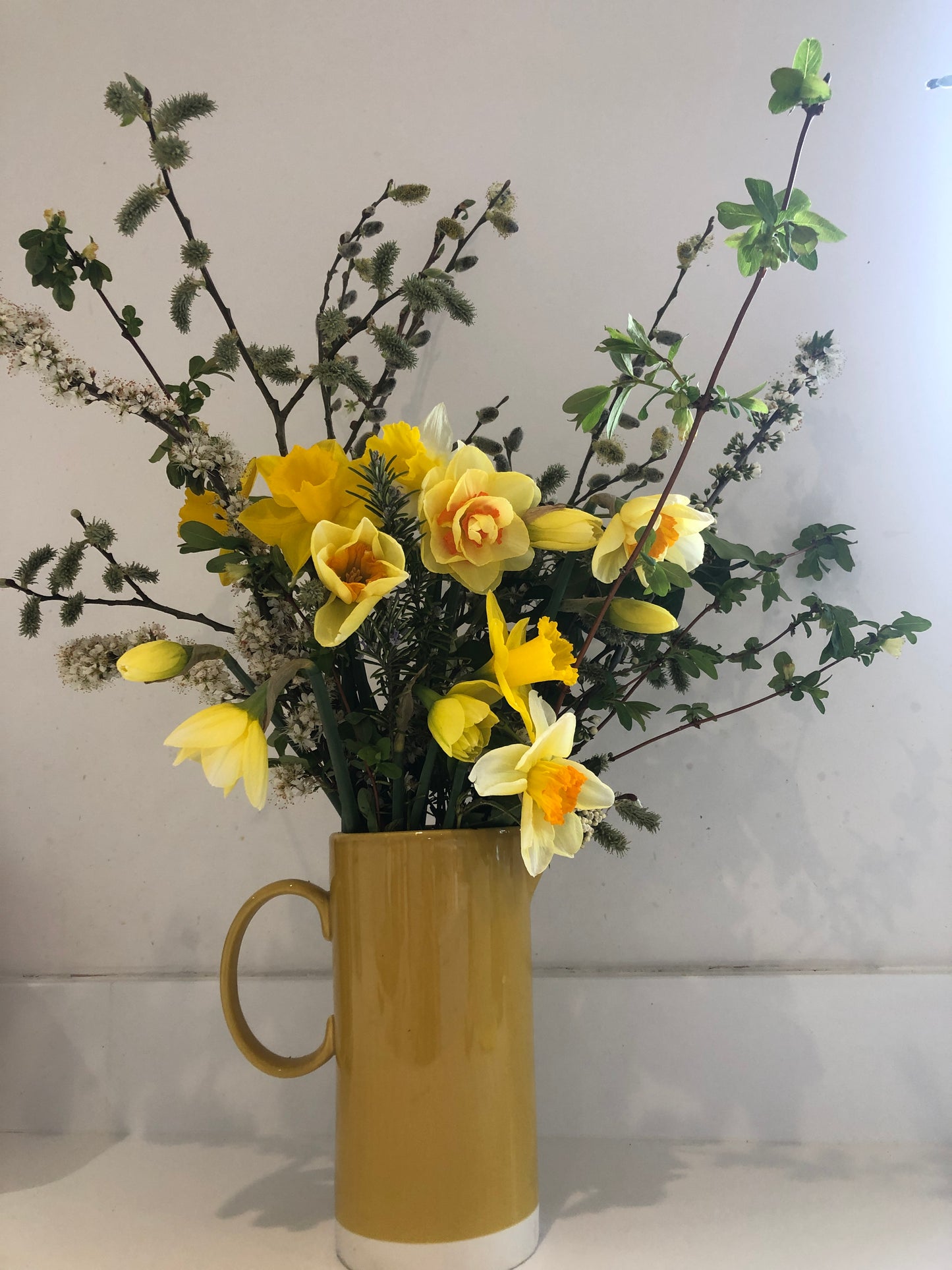 Spring Foraging Workshop