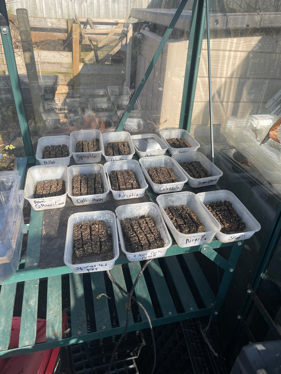 Why I start seeds in Soil Blocks