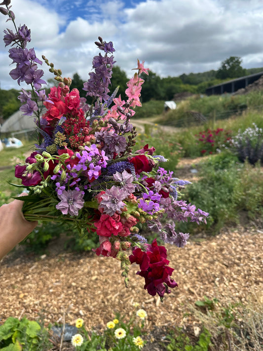 From Seed Tray to Bouquet: The Journey of a British‑Grown Flower