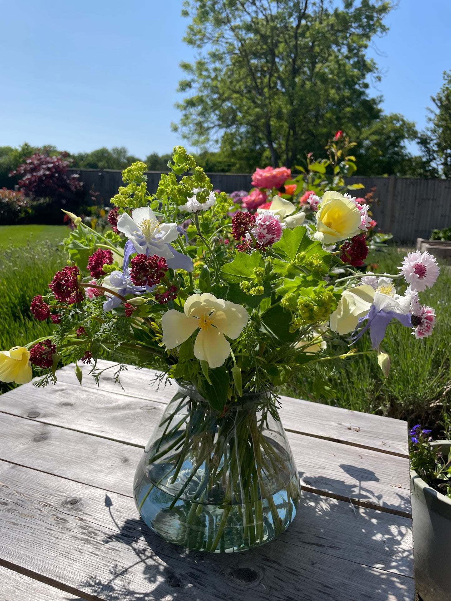 Hand-Tied Bouquet