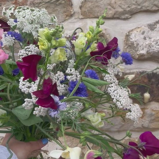 Fresh flower bouquet including cornflowers, achillea and sweet peas