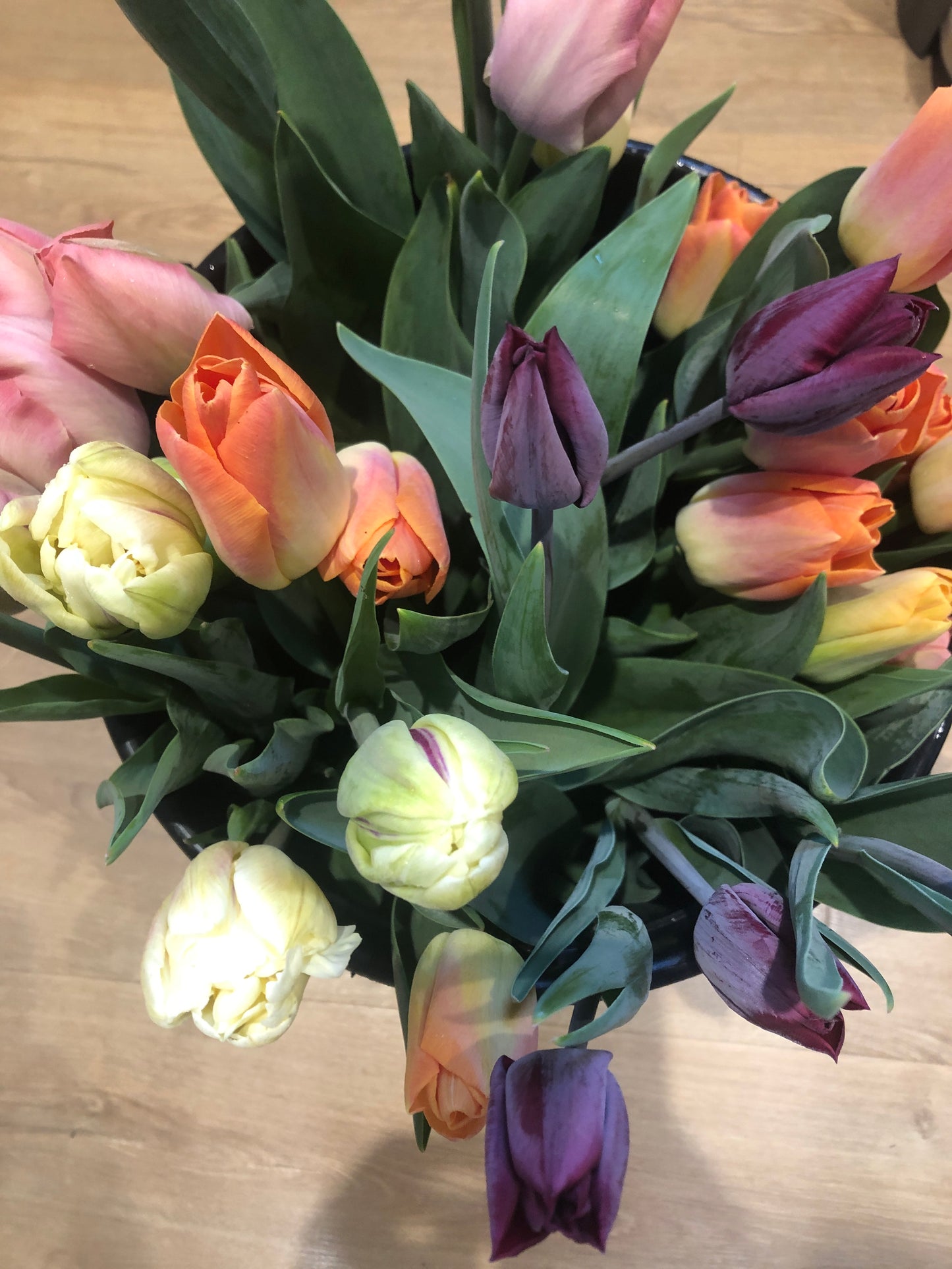 Tulips in a bucket